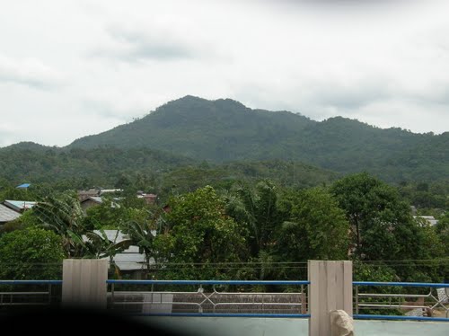 Gunung Bamega Kabupaten Katabaru